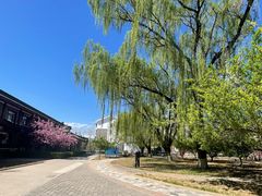 -寿山福海养老服务中心(石景山院)