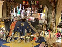 -雪灵魔法世界SHELLY’S TAROT(大良桂畔里店)
