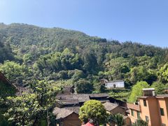 -杨家堂村