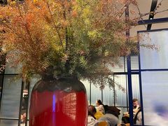 -柿合缘新京菜(国金中心商场店)