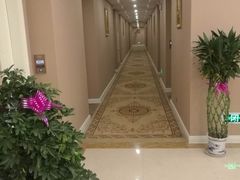-维也纳酒店(苏州东方之门金鸡湖店)