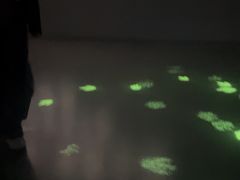 -天津自然博物馆