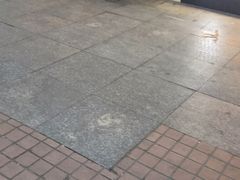 -沪上阿姨·精选茶饮(唐山新街北口店)
