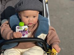 -祥源·阜阳生态乐园