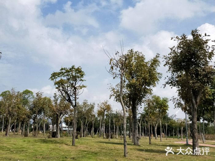 北郊公園-圖片-汕頭景點/周邊遊-大眾點評網