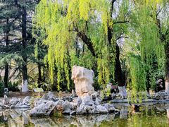 -山东师范大学(千佛山校区)