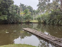 -中国科学院西双版纳热带植物园