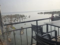 -渔娘蟹庄(阳澄湖莲花岛店)