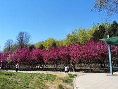 -济南国际园博园