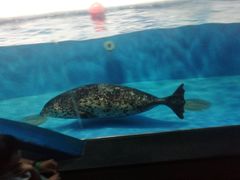 -成都浩海立方海洋公园