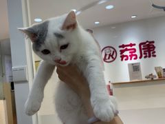 -荔康动物医院(康王北路店)