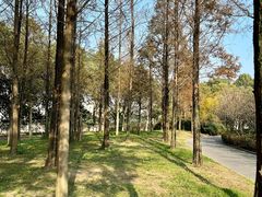 -成都南湖公园