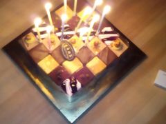 -维尔纳斯·生日蛋糕动物奶油冰淇淋蛋糕(人大店)