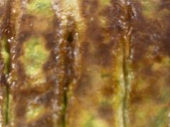 -众品老方子锅贴甜沫(李村店)