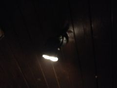 -半藏居酒屋(香港花园店)