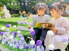 -金豆子幼稚园