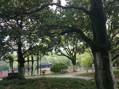 -瀛洲公园