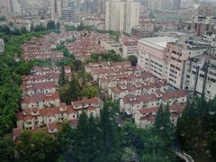 -上海市普陀区中心医院