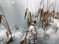 -溧阳天目湖天沐温泉