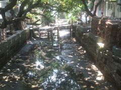 IMG771-小洲村