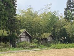 -重庆雨台山风景区