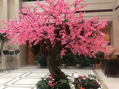 -天泰宾馆婚宴·宴会厅·婚礼堂