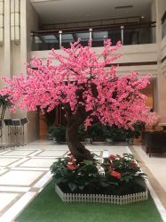 -天泰一站式婚宴·宴会厅