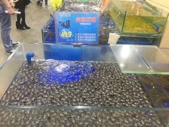水产区-东江海鲜酒家(艺都分店)
