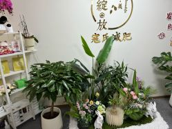 -寇氏减肥