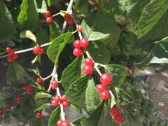 -北京宽沟会议中心