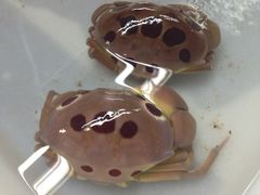 iphone_upload_pic-班赞海鲜市场