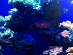-石家庄海洋公园