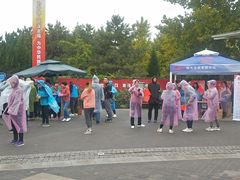 -大兴滨河森林公园