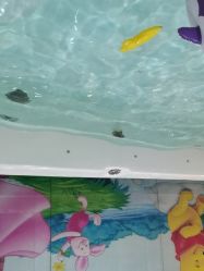 点击看大图 -贝爱妈咪科技美容产后修复(大悦城店)