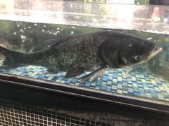 -森谷美食公园(杨行店)
