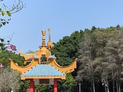 -金砂公园