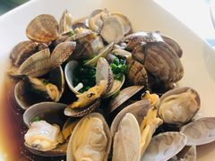-骏莱海鲜鱼港(五角场店)