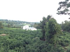 iphone_upload_pic-济州岛泰迪熊博物馆