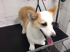 -萌兽医馆·宠物医院·猫骨科(创景店)