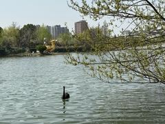 -南通濠河风景名胜区