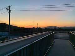 -泉州海丝野生动物世界