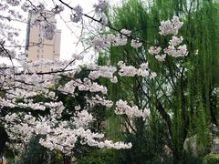 -堤角公园
