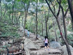 -大岭沟猕猴桃谷风景区