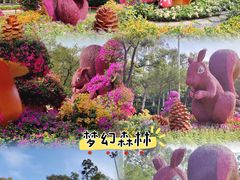 -广州市白云山风景名胜区