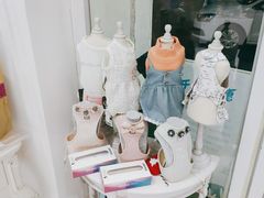 -BABYDOG宝贝狗宠物乐园(欧洲城店)