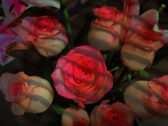 -循礼门鲜花花市(武汉循礼门店)