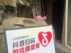 -将军关探险漂流