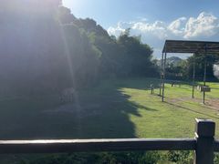 -宁波野生动物园