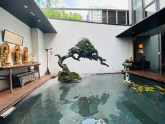 景观位-觀芷隐轩