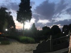 -河泥荡文化公园